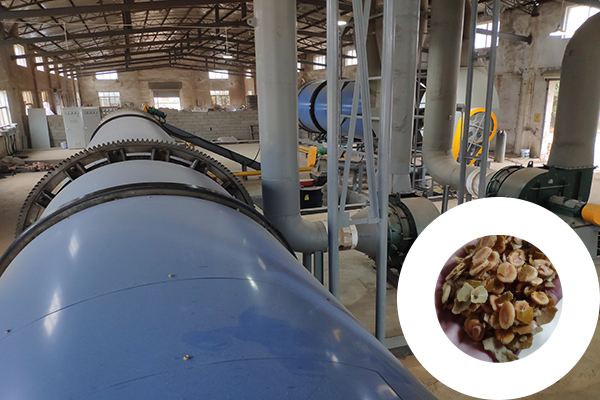 羅漢果渣烘干機|果渣烘干機|蘋果渣烘干機